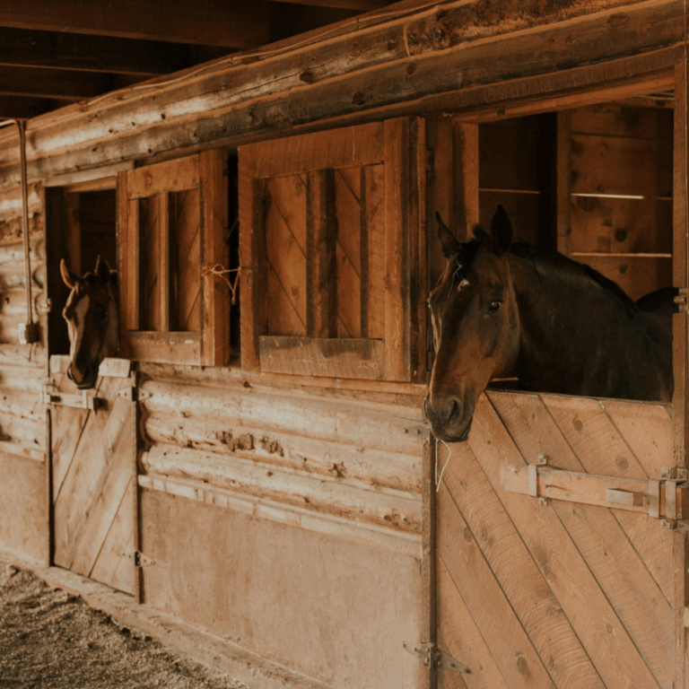Stallbedarf