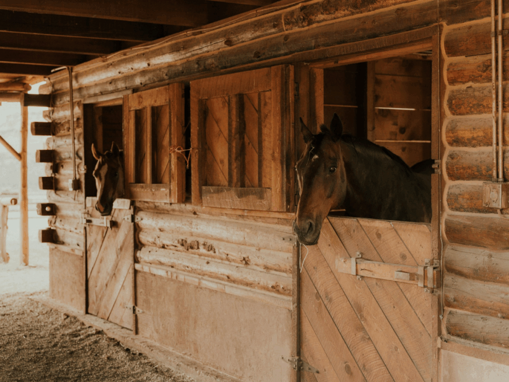 Stallbedarf